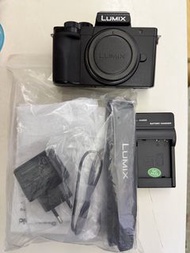 Panasonic Lumix G100淨body