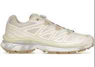 salomon XT-6