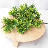 Bonsai branches, Tung arhat branches with long leaves decorate to attract fortune