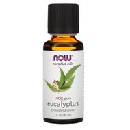 Now Foods, Essential Oil Eucalyptus, 1 fl oz (30 ml) Minyak Pati Kayu Putih Eucalyptus Globulus IMP