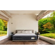 Vono Mattress 12'' Spring Mattress