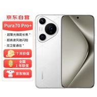 华为（HUAWEI）Pura 70 Pro+ 弦乐白 16GB+512GB 超高速风驰闪拍 超聚光微距长焦 双卫星通信 华为P70智能手机