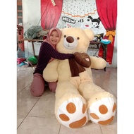 Jumbo bear doll 2M