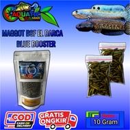 MAGGOT BLUE BOOSTER EL BARCA PAKAN CHANNA REPACK 10 GRAM