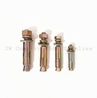 Dyna Bolt/ Expansion Bolt (1/4, 5/16, 3/8, 1/2)