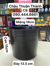 Combo 50 Cái Chậu Nhựa Mềm Thuận Thành Trồng Cây -Mẫu C8