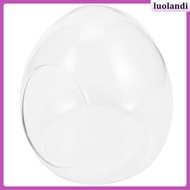 Glass Bottle Aquarium Ecosystem Clear Planter Container Hydroponic Decorative Jar