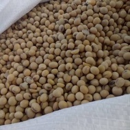 Kacang kedelai impor kedelai bola 1kg