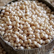 KACANG PUTIH BIJI / ULUNTHU ( URAD DAL ) 500GM / 1KG+-