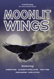 Moonlit Wings Ember Fane