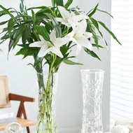 【Two-Piece Set】Large Glass Vase Transparent Hydroponic Rich Bamboo Flower Vase Living Room Floor Vase
