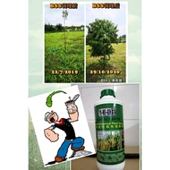 🇯🇵 1L Organi Plant Activator Pengaktif Tumbuhan Baja kompus Probiotic plant based buah buahan sayur 