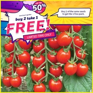 Red Grape Tomato Seeds Sweet Red Grape Tomato Seeds Juicy Small Tomato for Salads Garden Vegetable