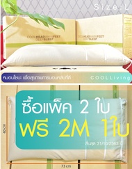หมอนโซบะญี่ปุ่น หมอนร้อยปี Coolliving (Size L 2 ใบ ฟรี 2M 1 ใบ) หมอนสุขภาพ หมอนบัควีด ลดอาการปวดคอ ป