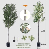 View Potted Olive Tree Disassembly Assembly Simulation Ready Stock Supply Simulation Indoor Cross-Bo