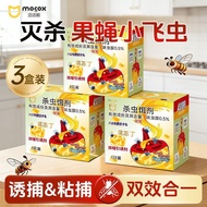 Small Gel Fly Trap Killing Trap Fly Trap Fly Kitchen Maijie Household Fly Trap Hot Sale Jelly 3yy Fr