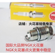 NGK Spark Plug BR7HS-10 Suitable for Two-Chong Ship Hanging Plug Motorcycle Boat Speedboat Outboard 