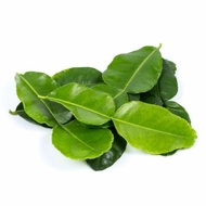 Kaffir Lime Leaves Kaffir Lime Leaves kampung