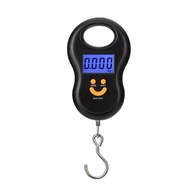 Portable 50Kg 10g Hanging Scale Digital Scale BackLight Electronic Fishing Weights Pocket Scale Lugg