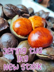 Jering tua 1kg new stok