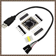 (JPTZ) for 2 RP2350 Core A Development Board RP2350A RP2350-Core-A