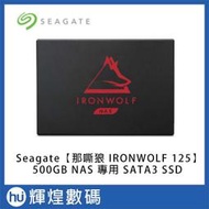 Seagate【那嘶狼 IronWolf 125】500GB 2.5吋 SATAIII NAS SSD 固態硬碟