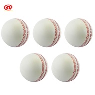 Sports Cricket, Training Cricket, Sports Wind Swing Rebound  Cricket, Elastic Decompression Ball