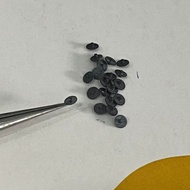 Time Transmission 1M02 GM00 Replacement for Wristwatches