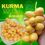 KURMA MUDA BALAH KUNING 1kg (BUKAN FROZEN) COD AREA KL KAJANG DAN YG BERDEKATAN