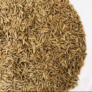 Karaway Cumin Caraway Seed 1 Kg