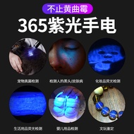 Divine Fish UV365 Purple Light UV Flashlight Nail Godfish UV365 Purple Light Ultraviolet Flashlight 