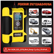 Foxsur 12V 12A / 24V 6A Car Battery Charge 7-stage lead-acid Battery AGM LiFePo4 lithium Battery 12V
