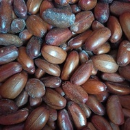 Ready Stock Buah Perah Ori Pahang