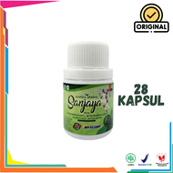 Kapsul Sanjaya Obat Asam Urat Herbal Mengatasi Sakit Pinggang Nyeri Sendi Serta Menyembuhkan Stroke