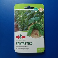 Pantastiko (100 seeds) Pole Sitao by East West Seed
