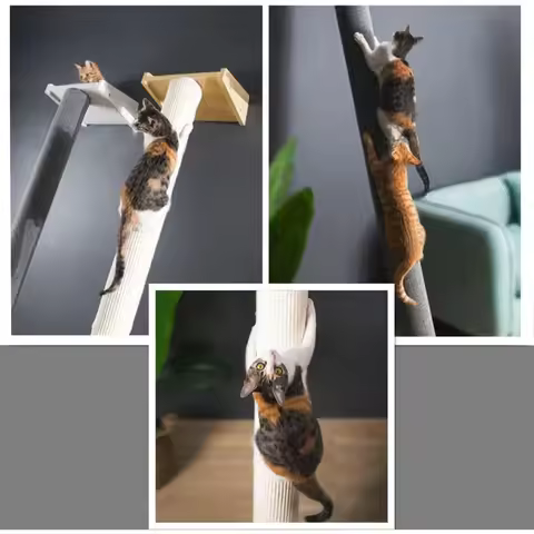 Modern 78.7 Tall Leaning Cat Tree Tower with Scratching Post, Bed, Perch, and Wall-Mounted Cat Shelv