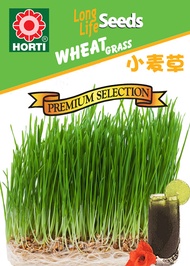 Wheat Grass Seeds