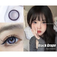 Colorhuner Contact Lens brown contact lens Power contact lens 14.4mm 1 year Power 0.00-8.00 Black Gr