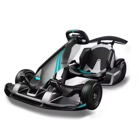 Mini Professional Racing Game 2400w Go Kart Karting off Road Electric Car Adults Gokart Go Karts