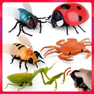 Novelty Simulation Remote Control Animal Infrared Tricky Remote Control Snake Remote Control Caterpi