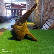 Cengal Mas Original Solid Wood Outdoor & Indoor Home Decor,Garden Or Fish Aquarium