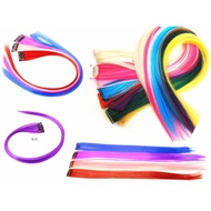 HAIR CLIP ON HAIR EXTENSION COLOR/ WIG HAIR