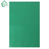 Ainna -Green Screen Backdrop Cloth Photo Background Studio Photography