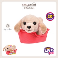 Little Live Pets My Really Real Puppy S2 Mini สุนัขเพื่อน 4 ขา แสนรักในขนาดมินิสุดน่ารัก!