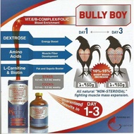 BULLY BOY 10ml  (vitamin B-complex + vitamin E + amino acids + L-carnitine + dextrose)