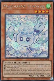 遊戲王 亞英 AE 雀G Rota-AE024 Mulcharmy Fuwaros (SER)