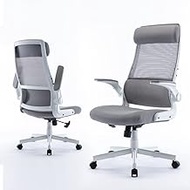 TANUMI Work from Home Office Chair Ergonomic Executive Chairs (LIGHT GREY, FLIP-UP ARMRESTS)