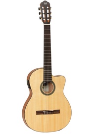 PROMO- TANGLEWOOD EM DC 1 + SOFTCASE