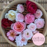 花草日和工作室｜🌹玫瑰純露 Rose Hydrosol / Hydrolat 花水（一級/定期檢驗合格）