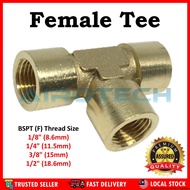 Brass Fitting Female Tee Fitting Adaptor Connector Thread Brass